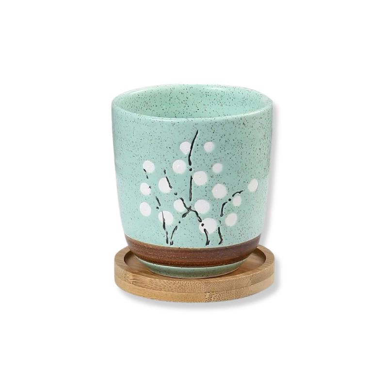 INDOOR FLOWER POT WITH TRAY, CERAMIC