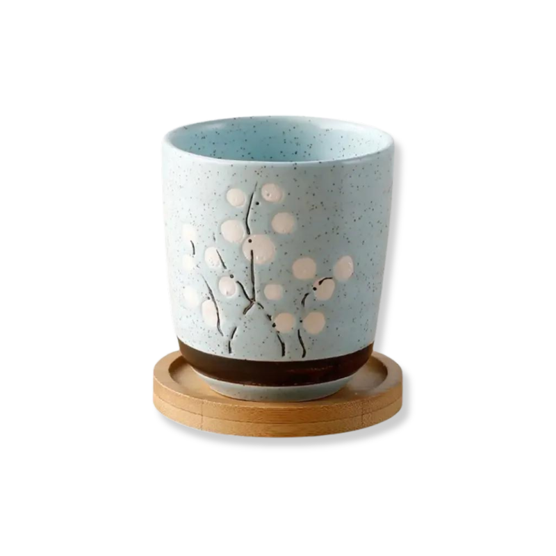 INDOOR FLOWER POT WITH TRAY, CERAMIC