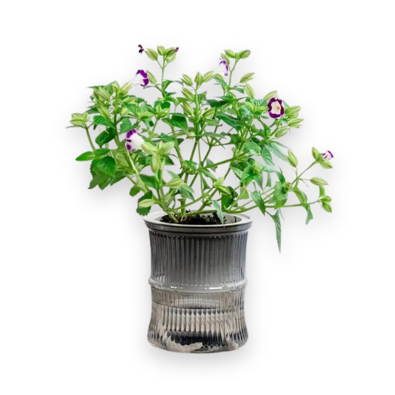 4 COLORS SELF WATERING PLANTER POT