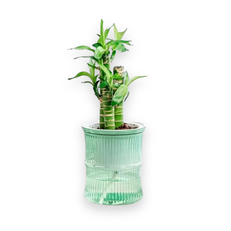 4 COLORS SELF WATERING PLANTER POT