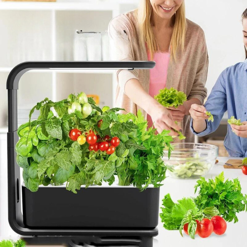 HYDROPONIC HERB GARDEN, 3-POD